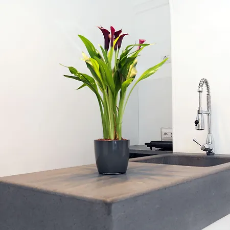 Houspitality Nero Bed and breakfast 3*